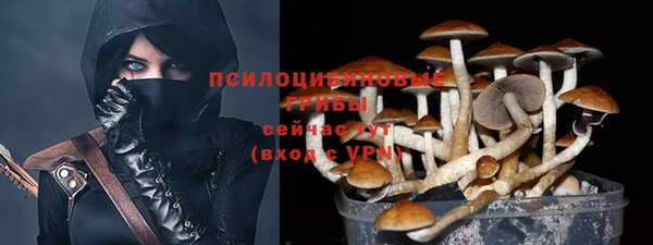 первитин Заводоуковск