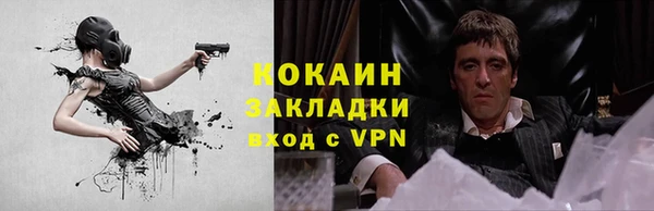 спиды Зеленокумск