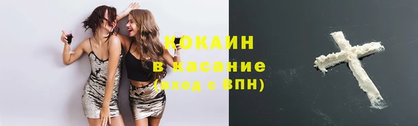 амф Зерноград