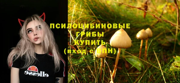 амф Зерноград