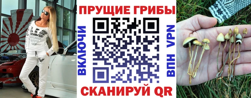 Псилоцибиновые грибы MAGIC MUSHROOMS Юрьев-Польский